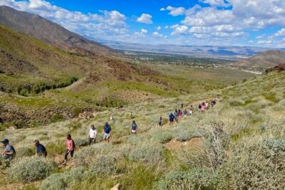 Rocky Mountain National Park Half Day Hike - The 4-hour plan: 3–5 miles, paced for a half-day