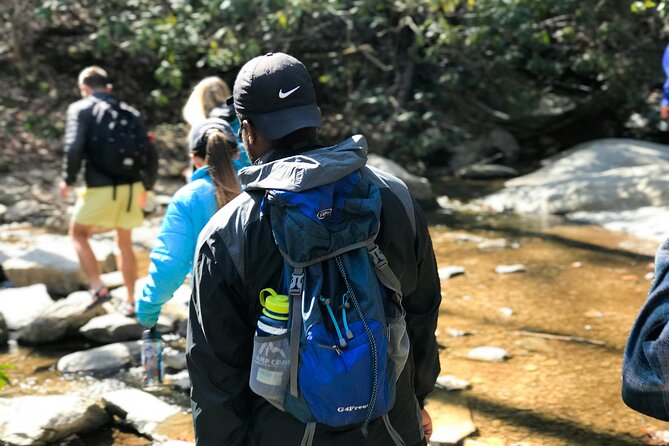 Rocky Mountain National Park Half Day Hike - Group size, atmosphere, and what that means for your day