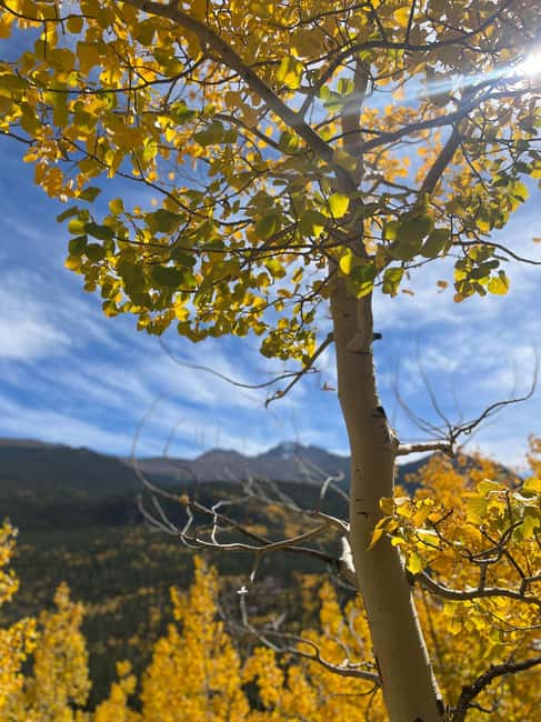 Rocky Mountain National Park Hike - Altitude, Weather, and Traction Cleats: What to Prepare