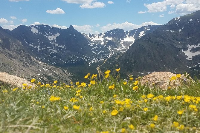 Rocky Mountain National Park in Summer Tour from Denver - Key reasons this tour feels worth your day
