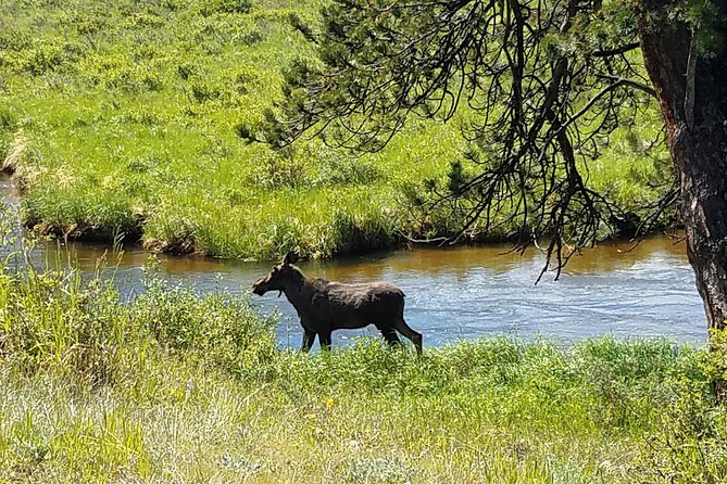 Rocky Mountain National Park in Summer Tour from Denver - The Alluvial Fan walk: geology you can feel