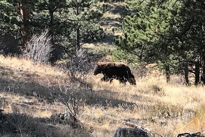 Rocky Mountain National Park in Summer Tour from Denver - Stanley Hotel: a short stop with serious pop-culture pull