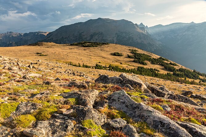 Rocky Mountain National Park Self-Guided Audio Tour - Picnic stops and historic walking: Lake Irene to Holzwarth
