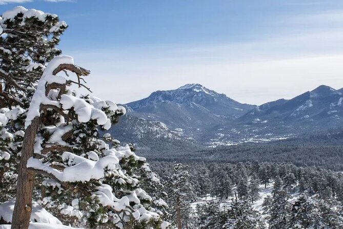 Rocky Mountain National Park Tour - Hidden Valley Sledding Tour - Who should book this Rocky Mountain National Park sledding tour?