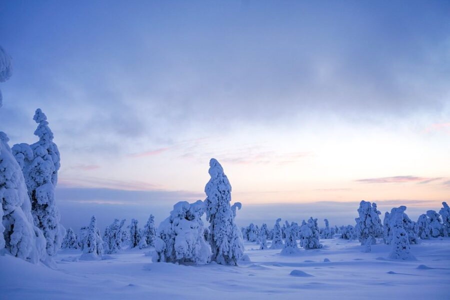 Rovaniemi: Riisitunturi National Park Day Trip with Lunch - Key things to know before you go
