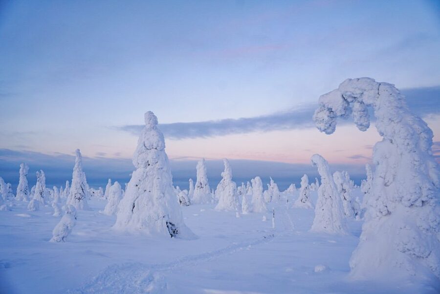 Rovaniemi: Riisitunturi National Park Day Trip with Lunch - Lunch expectations: what’s included, and how to avoid being hungry
