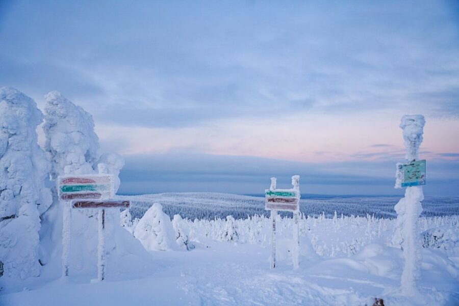 Rovaniemi: Riisitunturi National Park Day Trip with Lunch - Small group size and the guide effect (8 people max)