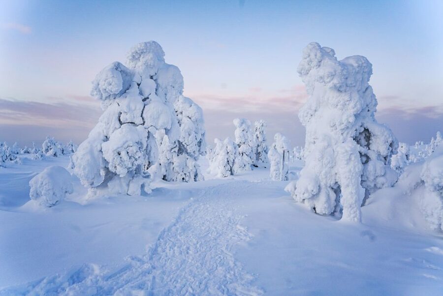 Rovaniemi: Riisitunturi National Park Day Trip with Lunch - What to bring for Arctic cold (and why “water” is not optional)
