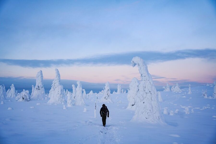 Rovaniemi: Riisitunturi National Park Day Trip with Lunch - Price and value: is $223 worth it?