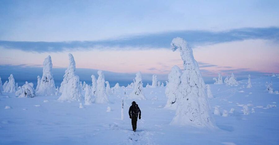 Rovaniemi: Riisitunturi National Park Day Trip with Lunch - The 9-hour rhythm: pickup, Arctic drive, then your time outside