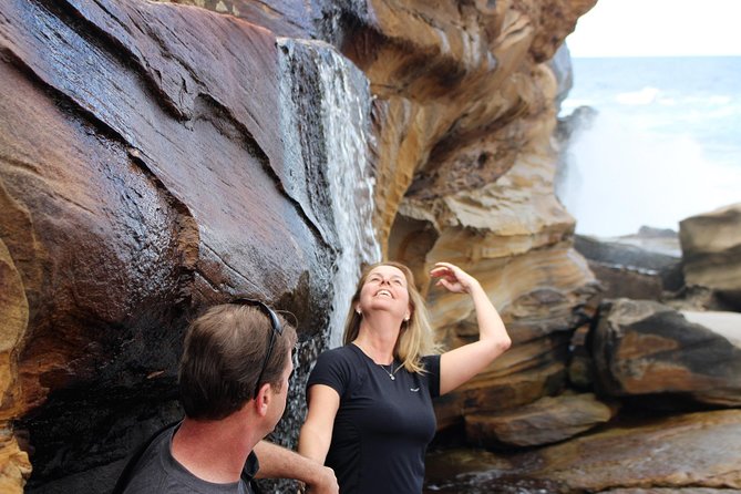 Royal National Park Private Tour - Hotel pickup and a day that actually feels organized