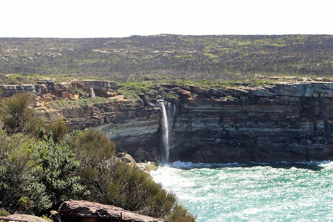 Royal National Park Private Tour - Horderns Beach start: a small wharf, an easy warm-up