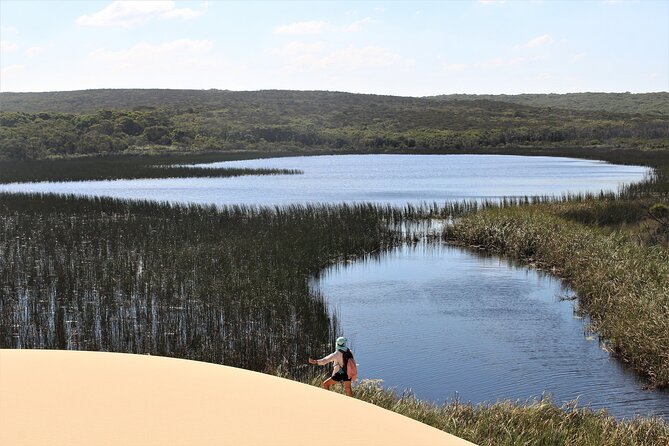 Royal National Park Private Tour - Marley Beach option: shorter, underrated, and worth squeezing in