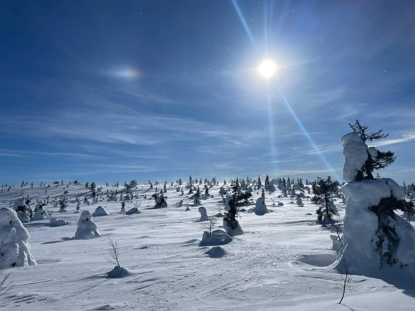 Ruka: Riisitunturi National Park with lunch. - Key Things I’d Circle Before You Go