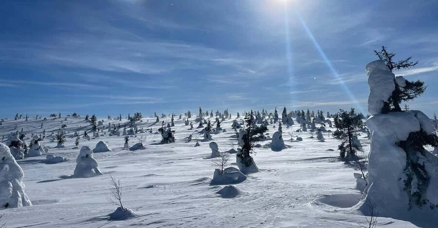 Ruka: Riisitunturi National Park with lunch. - Riisitunturi National Park, Smooth Pickup, Real Lapland Day