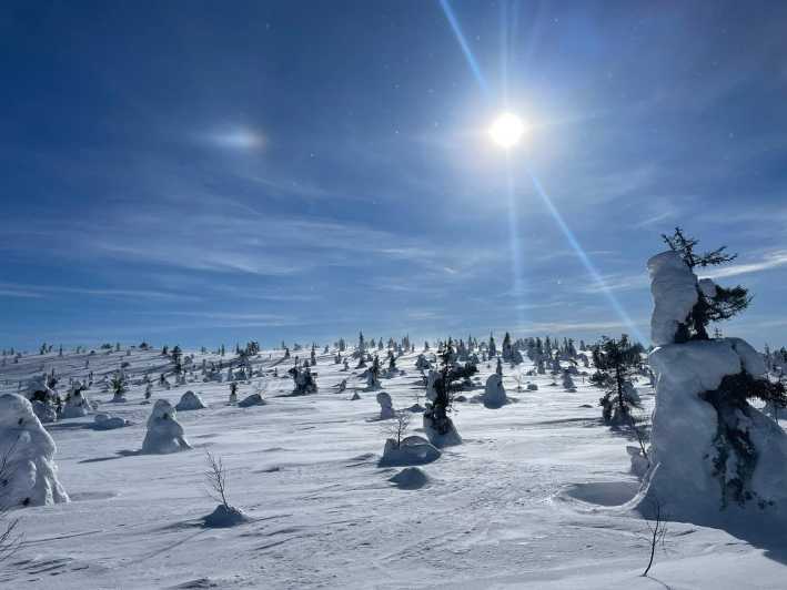 Ruka: Riisitunturi National Park with lunch. - What to Pack: The Stuff That Keeps You Comfortable