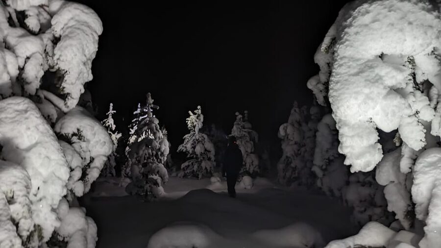 Saariselkä: Snowshoeing Tour in Urho Kekkonen National Park - Snowshoes and Basics: What the Guide Actually Helps With