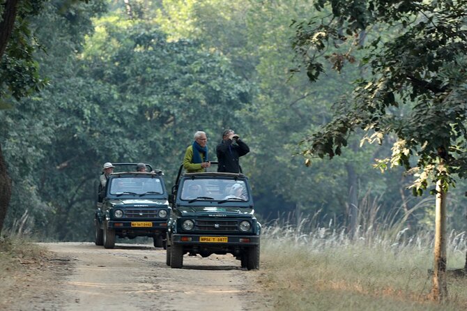 Safari in Pench National Park - Day 1: Nagpur to Pench, then dinner in the wild