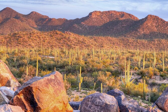 Saguaro National Park East E-Bike Tour - Key things I’d bank on before you go