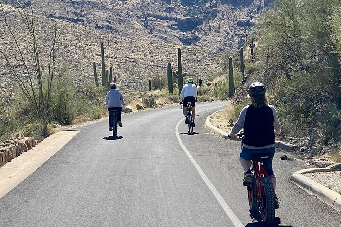 Saguaro National Park East E-Bike Tour - Your guide: the real difference between a ride and an experience