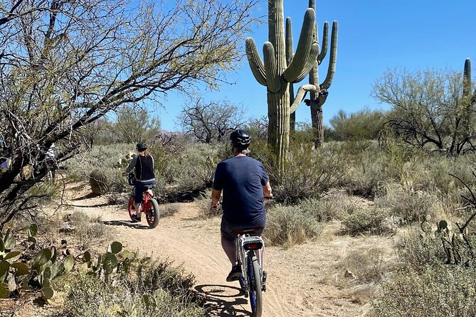 Saguaro National Park East E-Bike Tour - Fitness, pacing, and what “easy” means on a hill