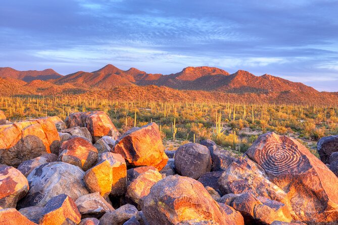 Saguaro National Park Self-Guided Audio Tour - Stop-by-Stop: What to Expect on the Road (and Each Hike)
