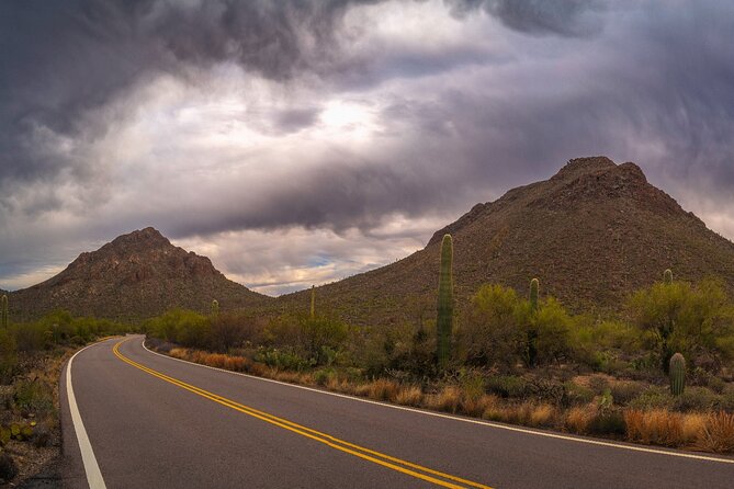 Saguaro National Park Self-Guided Driving Audio Tour - King Canyon Trail: A Longer Workout With Worth-Checking Views