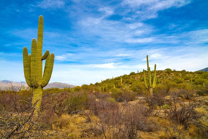 Saguaro National Park Self-Guided Driving Audio Tour - Logistics That Matter: Where You Start and How Stories Trigger