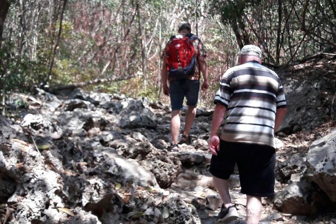 Sam Roi Yod National Park & Praya Nakhon Cave Join Group Tour - The 430-meter climb to Phraya Nakhon Cave: where the day gets real