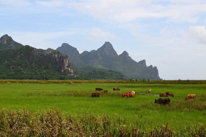 Sam Roi Yod National Park & Praya Nakhon Cave Private Tour from Hua Hin - Price and value from Hua Hin: why this costs what it costs