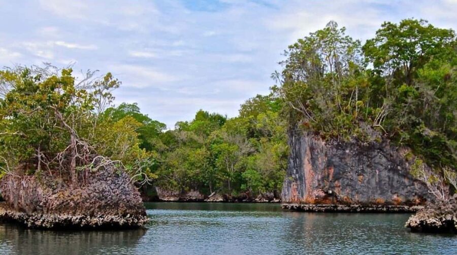 Samana: Los Haitises National Park & Caño Hondo Day Tour - Key highlights to know before you go