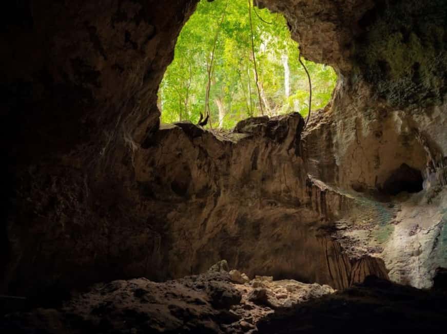 Samana: Los Haitises National Park & Caño Hondo Day Tour - Guided mangrove and lagoon boat time: the value is in the route