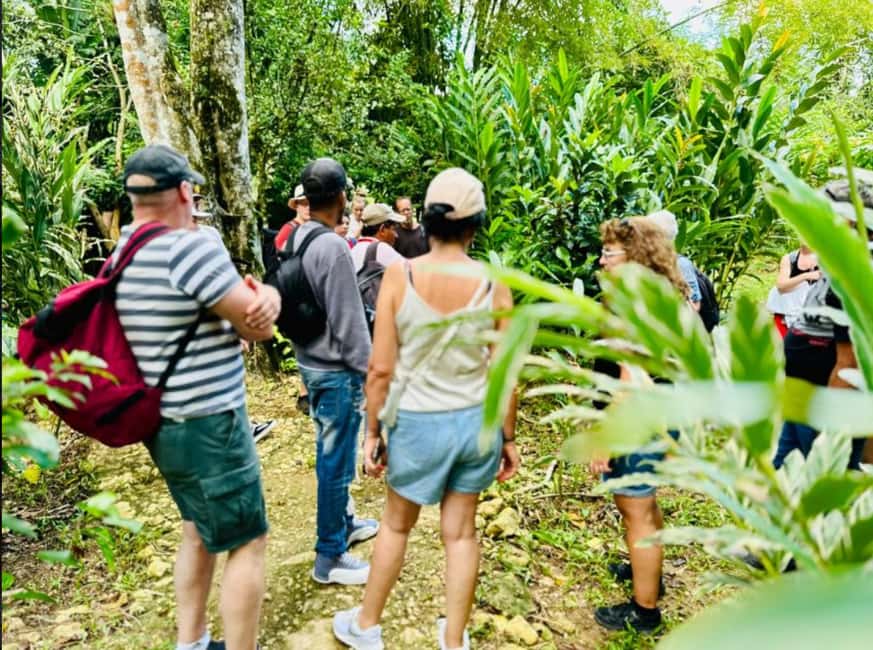 Samana: Los Haitises National Park & Caño Hondo Day Tour - Comfort, motion, and who this day trip fits best