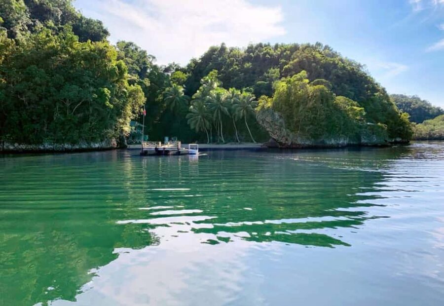 Samana: Los Haitises National Park & Caño Hondo Day Tour - What to bring (and the rules that actually matter)