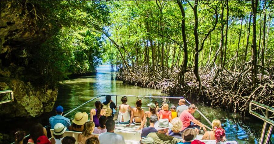 Samana: Los Haitises National Park & Cayo Levantado Tour - Key Highlights at a Glance