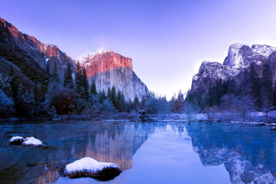 San Francisco to/from Yosemite National Park: 1-Way Transfer - The Tuolumne Giant Sequoia Grove stop, when weather allows