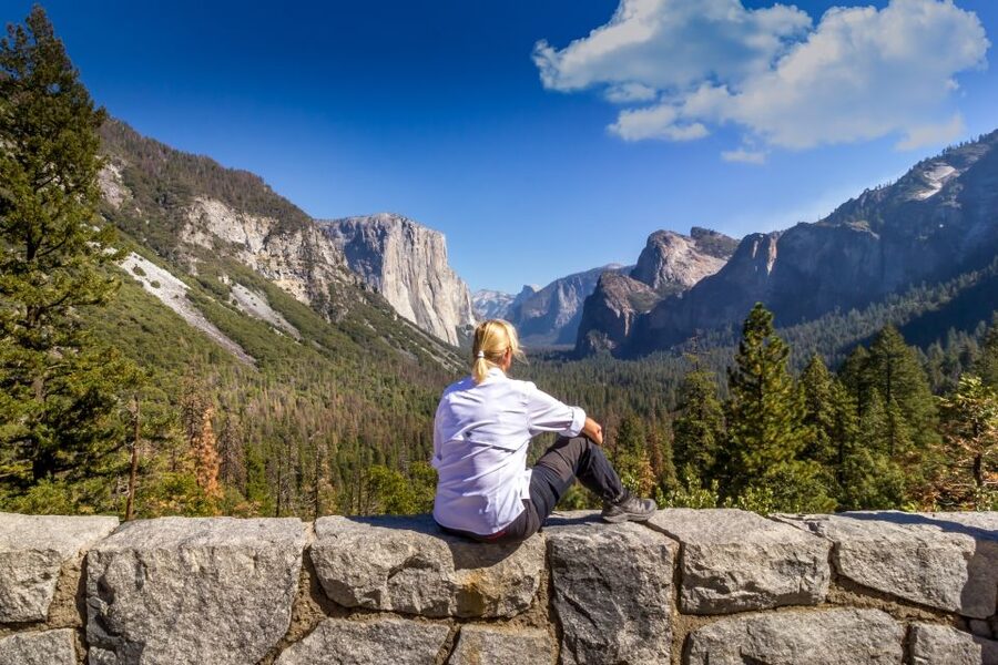 San Francisco to/from Yosemite National Park: 1-Way Transfer - Price and value: is $99 fair for entry plus guaranteed departures?