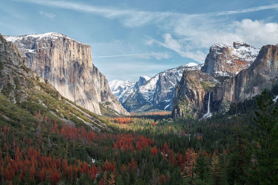 San Francisco to/from Yosemite National Park: 1-Way Transfer - FAQ