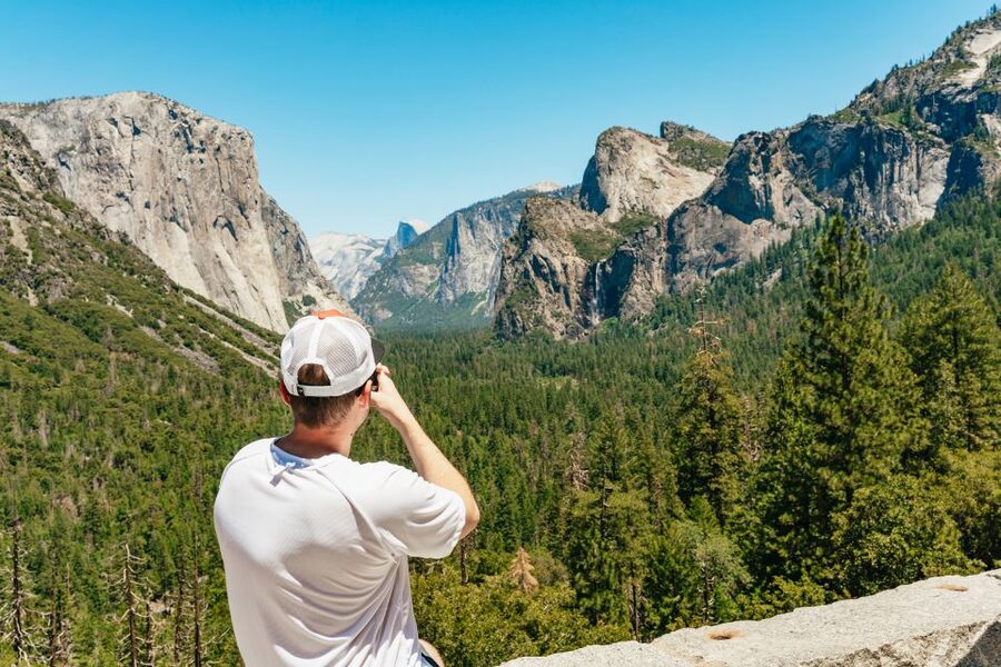 San Francisco: Yosemite National Park & Giant Sequoias Hike - Giant Sequoias in one day: what the 1.6-mile walk gives you