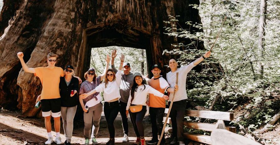 San Jose: Yosemite National Park and Giant Sequoias Trip - A 15-hour Yosemite day trip that starts right in San Jose