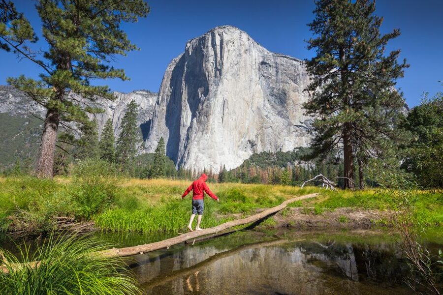 San Jose: Yosemite National Park and Giant Sequoias Trip - Yosemite Falls and Cook’s Meadow Loop: quick walks that pay back