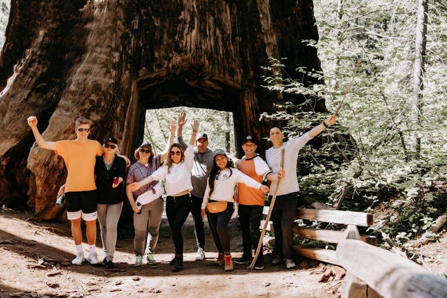 San Jose: Yosemite National Park and Giant Sequoias Trip - The drive through Central Valley to the Sierra Nevada