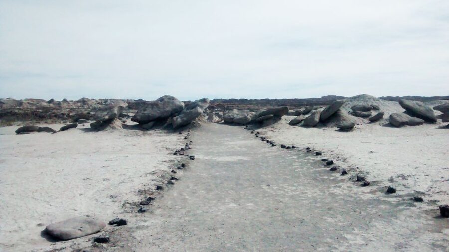 San Juan: Ischigualasto National Park - Moon Valley - Who this tour is best for