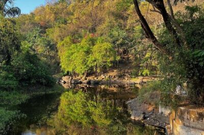 Sanjay Gandhi National Park and Kanheri Caves Day Private Tour - Spotting Deer and Birds: The Value of a Guided Safari or Walk