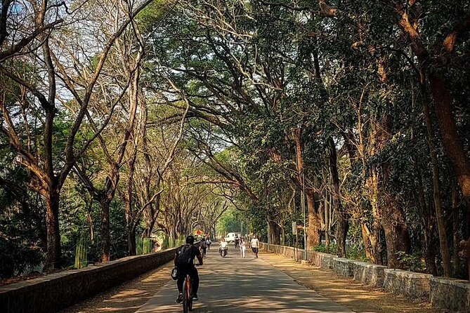 Sanjay Gandhi National Park and Kanheri Caves Day Private Tour - Price and Value: Getting Tickets and Time for $90