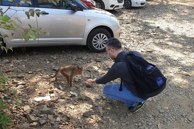 Sanjay Gandhi National Park(SGNP) + Kenheri Caves + Lion Safari + Jain Temple - Price and value: what $69 buys you (and what it doesn’t)