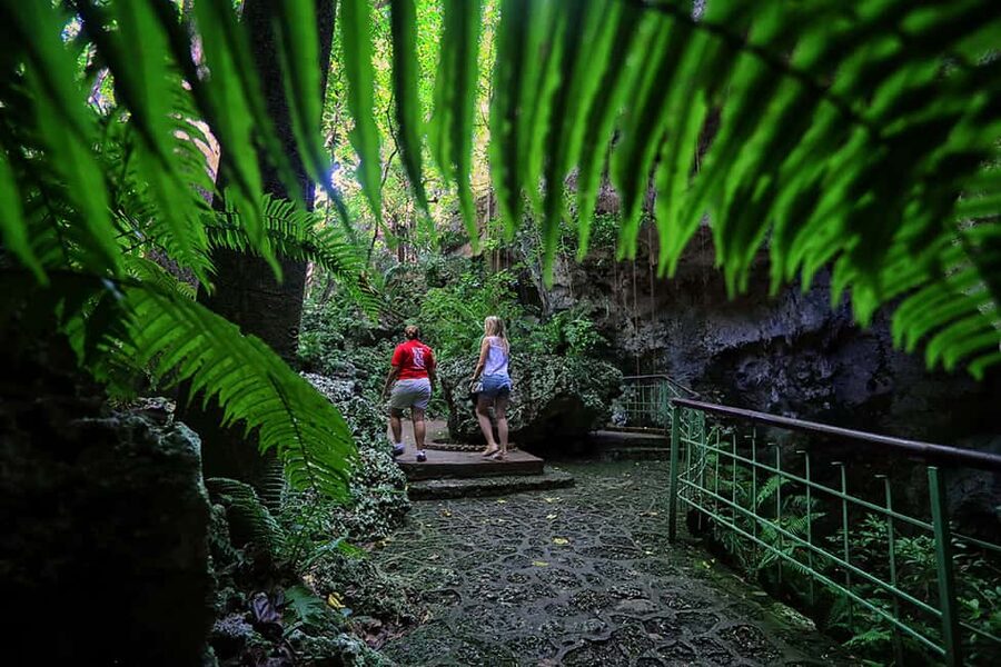 Santo Domingo: Three Eyes National Park Guided Tour - Guided Time in the Park: What the Guide Actually Does