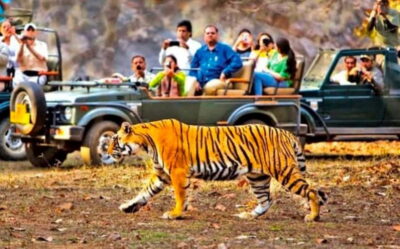 Sawai Madhopur: Ranthambore National Park Guided Jeep Safari - Zones and tiger odds: the smartest question to ask