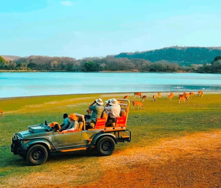 Sawai Madhopur: Ranthambore National Park Guided Jeep Safari - The route and stops: why a good guide changes the whole day