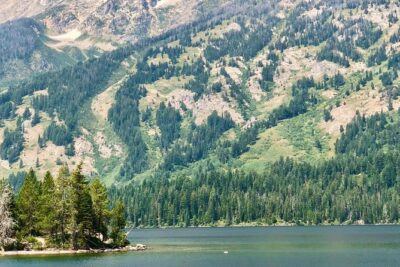 Scenic Float Trip in Grand Teton National Park Jackson Hole - Morning vs afternoon: how your day stays flexible